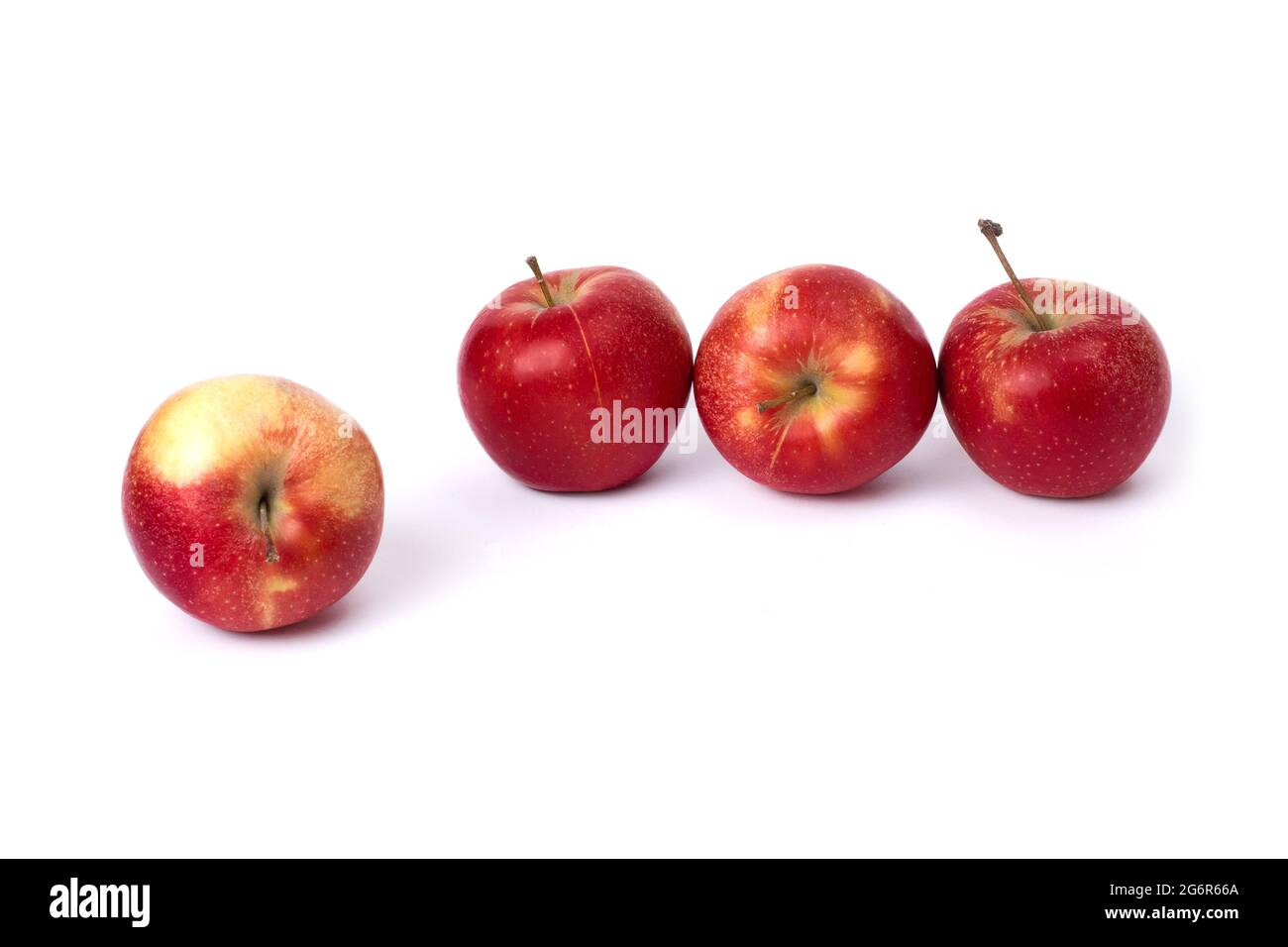 Four red apples on a white background. Juicy apples of red color with yellow specks on a white background. A group of ripe apples on an isolated backg Stock Photo