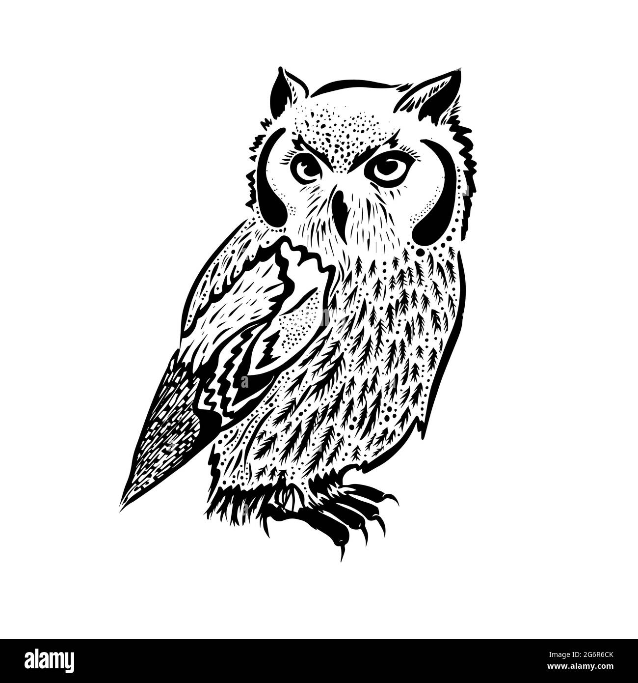 original artwork of owl, ink hand drawing in ethnic style, vector