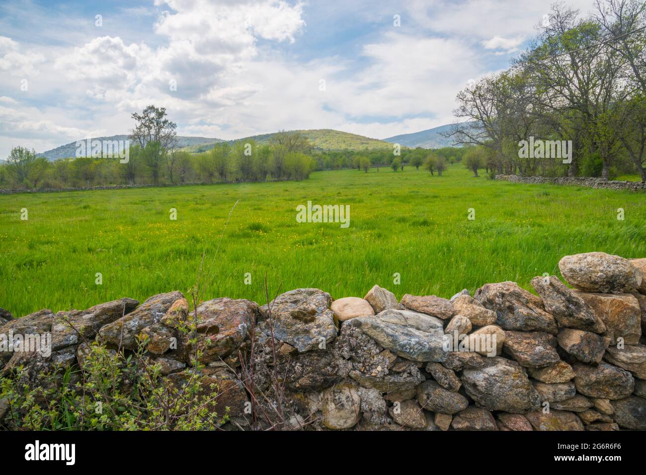 Meadow. Pinilla de Buitrago, Madrid province, Spain. Stock Photo