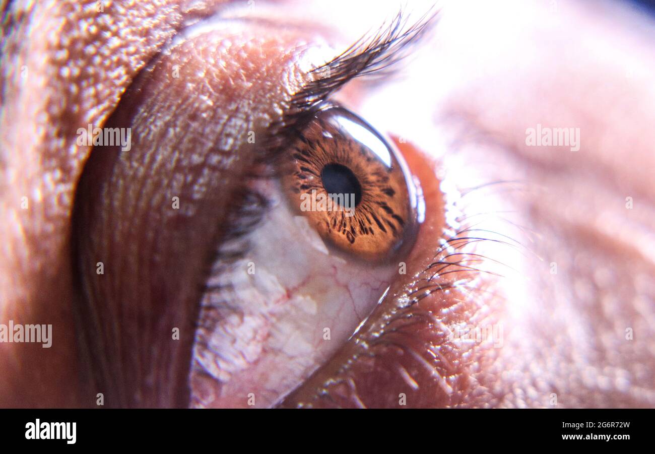 Close up of a brown man eye Stock Photo