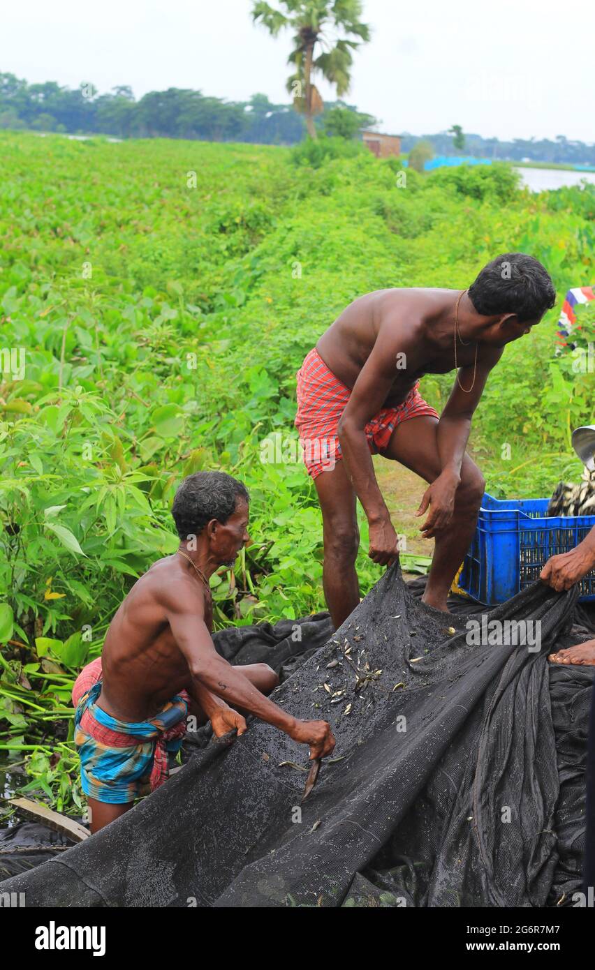 https://c8.alamy.com/comp/2G6R7M7/bangladeshi-fisherman-caught-fish-fish-on-hand-fishing-on-the-river-with-fishing-nets-life-of-traditional-fishermen-fishing-in-river-2G6R7M7.jpg