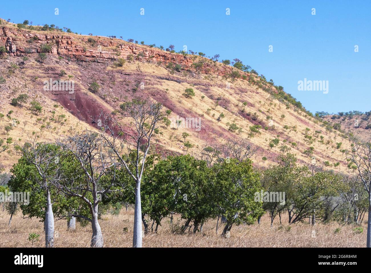 Maggie's Valley is typical Kimberley Region scenery with colourful hills and boab trees, near Wyndham, Western Australia, WA, Australia Stock Photo