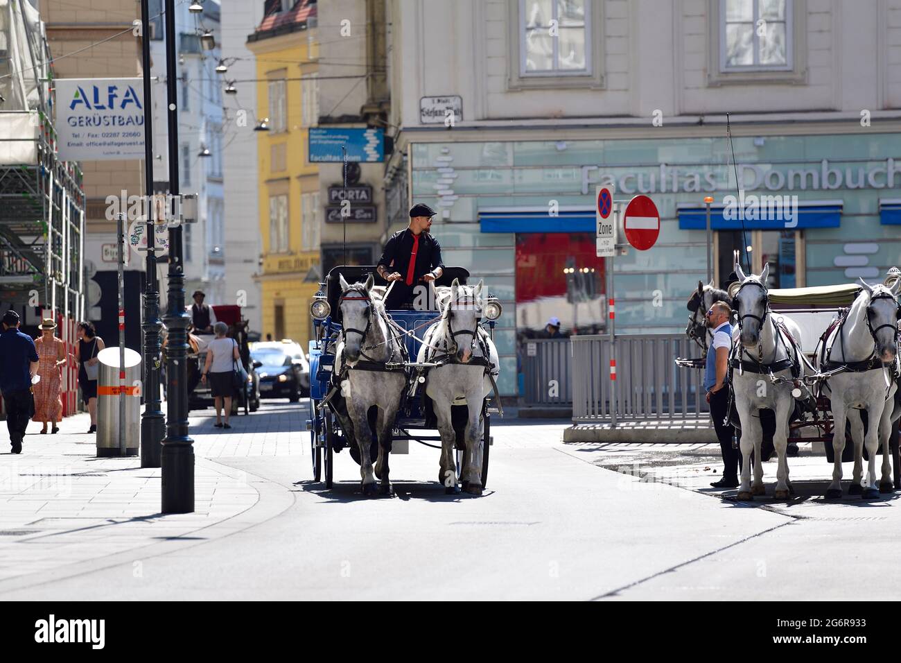 Vienna, Austria. 8th July, 2021. Heat wave in Austria. Up to 38 degrees Celsius are forecast in Vienna. Fiaker horses have Heat free from 35 degrees Celsius.  Credit: Franz Perc / Alamy Live News Stock Photo