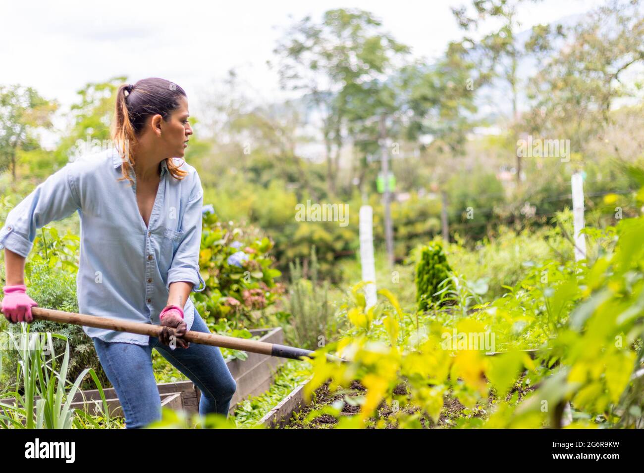 woman working in her vegetable garden with a shovel Stock Photo - Alamy