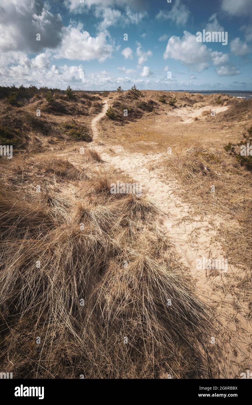 Path leading to the beach. Stock Photo