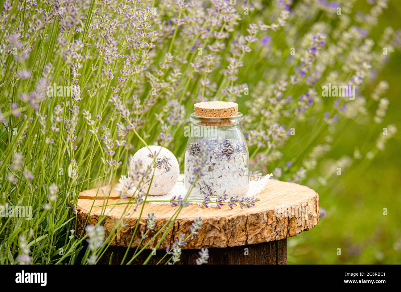 Various homemade lavender flower products bath bomb and bath salt on natural pine tree wood disc tray in lavender field outdoors in summer. Stock Photo