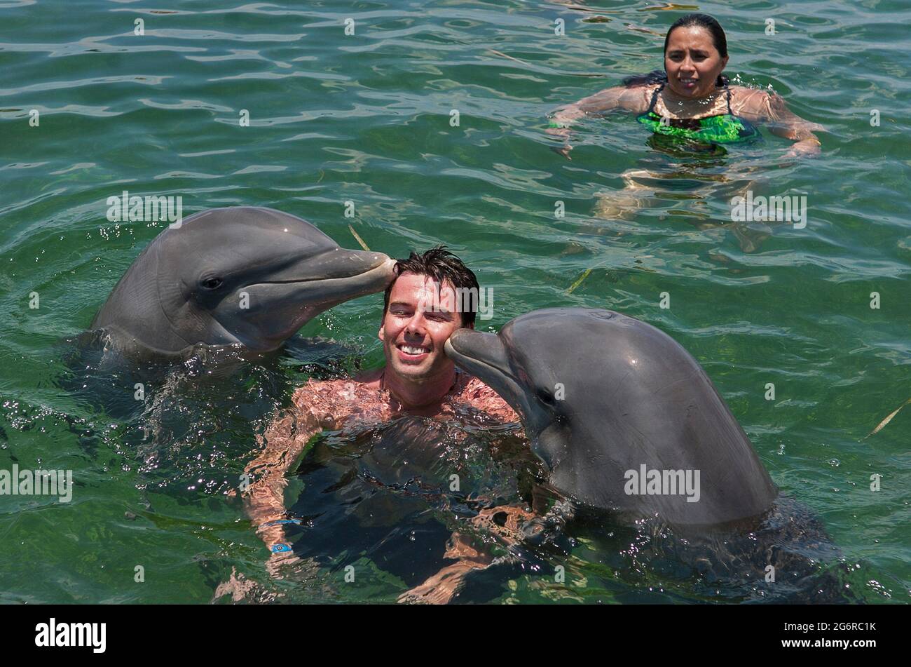 Swimming with dolphins Varadero, Cuba Stock Photo - Alamy