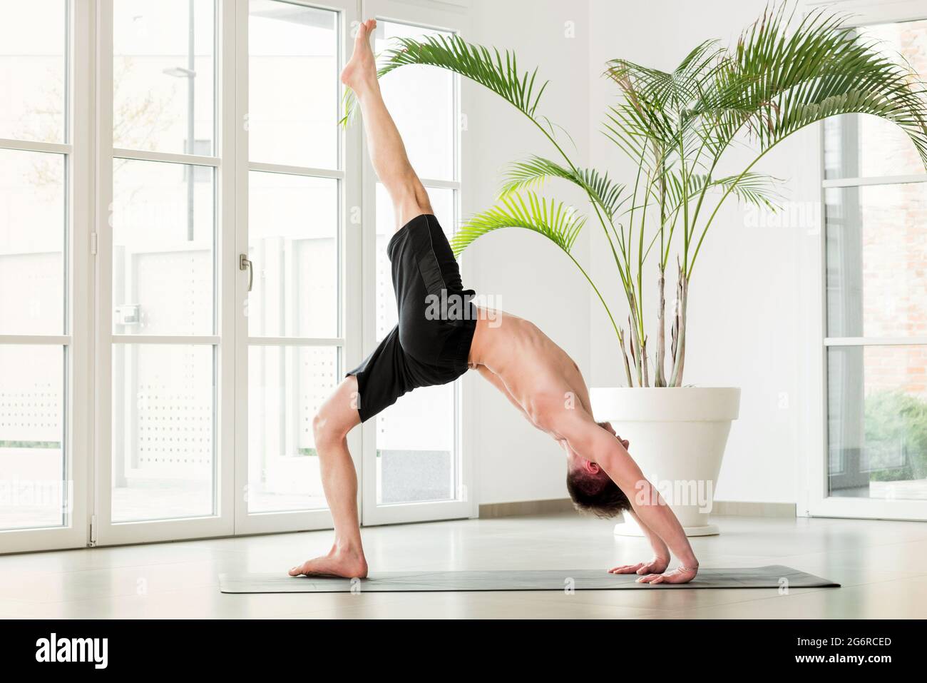 Man doing a Chakrasana yoga pose or backbend stretch to increase mobility and flexibility of his body in a high key gym with copyspace in a health and Stock Photo
