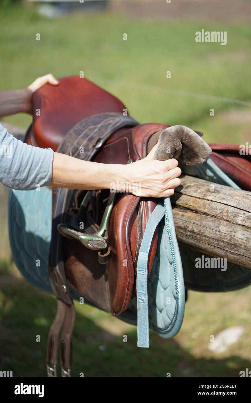Hands taking horse saddle for riding Stock Photo Alamy