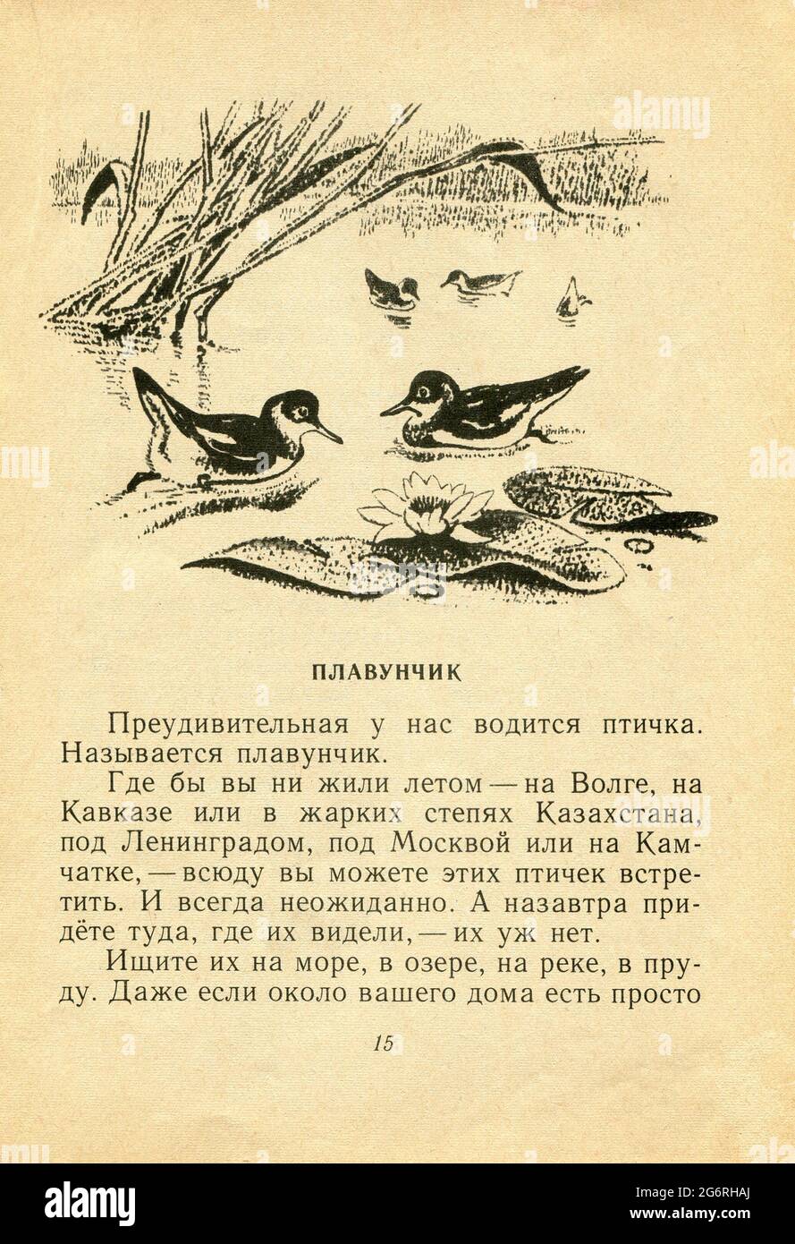 The Russian folk tale 'Plavunchik', by Vitaly Valentinovich Bianki (Виталий Валентинович Бианки), published in 1974 in Russia. Stock Photo