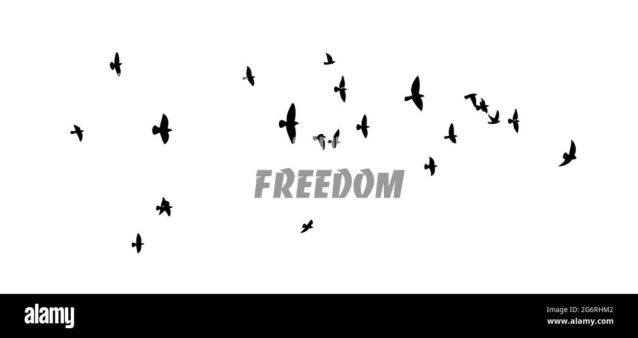 A flock of flying birds. Vector illustration Stock Vector