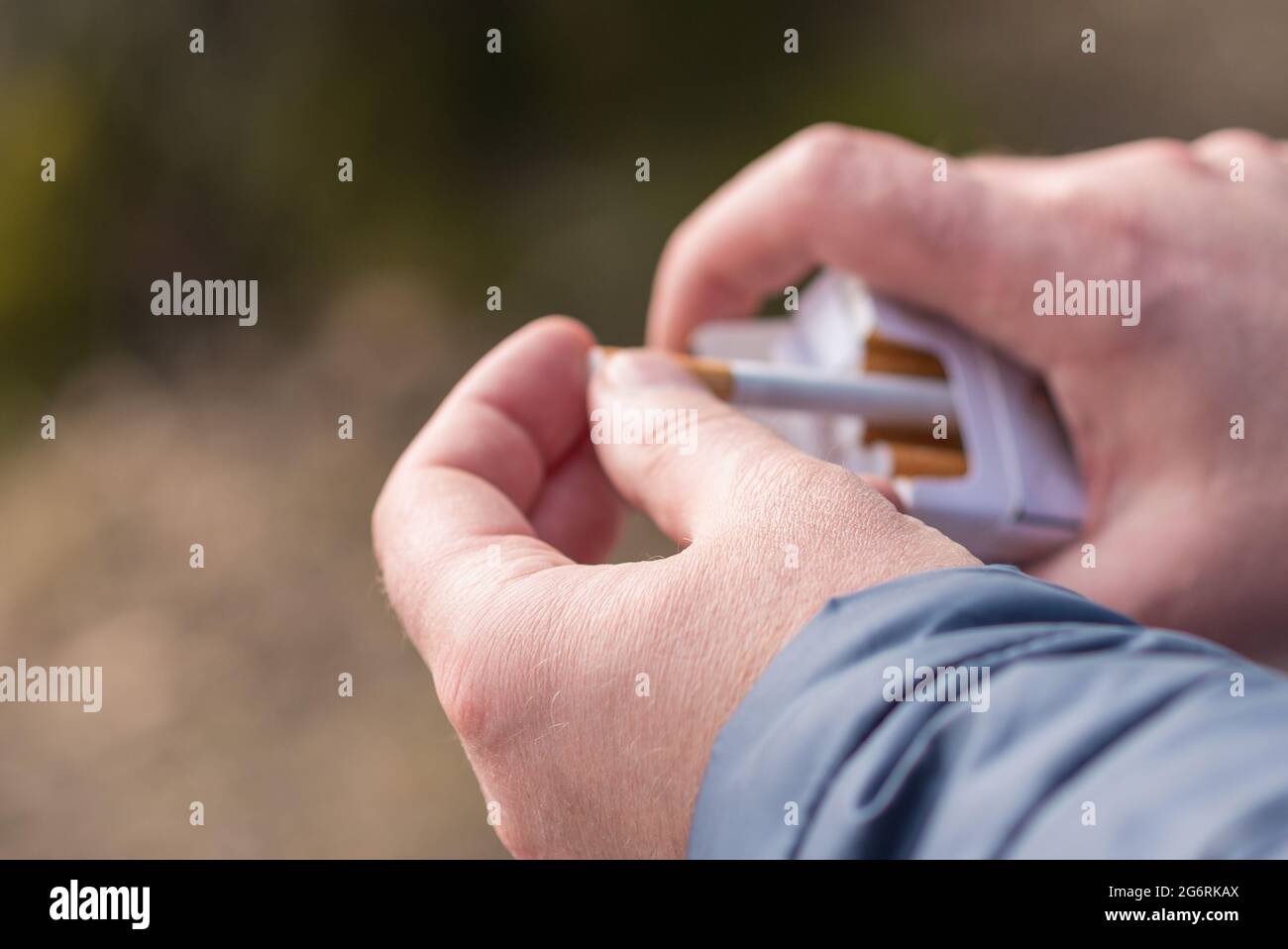 pick up cigarettes closeup person's hand pick a cigarette from the carton cigarettes pack  box.Outdoor shot Stock Photo