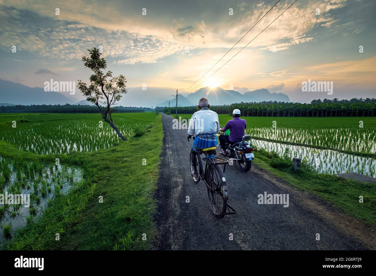 A village formers with bicycle and bike in rural growing Paddy rice filed near Nagercoil, Kanyakumari District, Tamil Nadu, South India.24-June-2021. Stock Photo