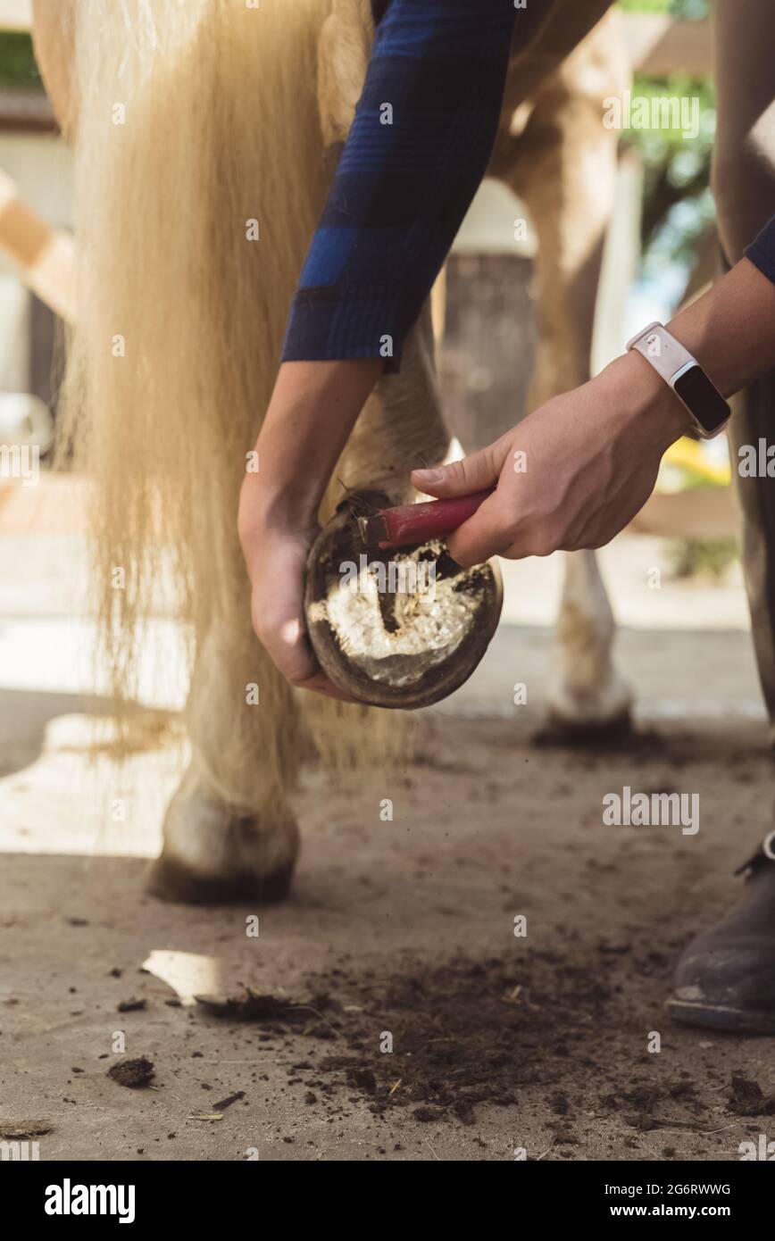 Girl holding the leg of a Palomino horse cleaning horse hoof outside
