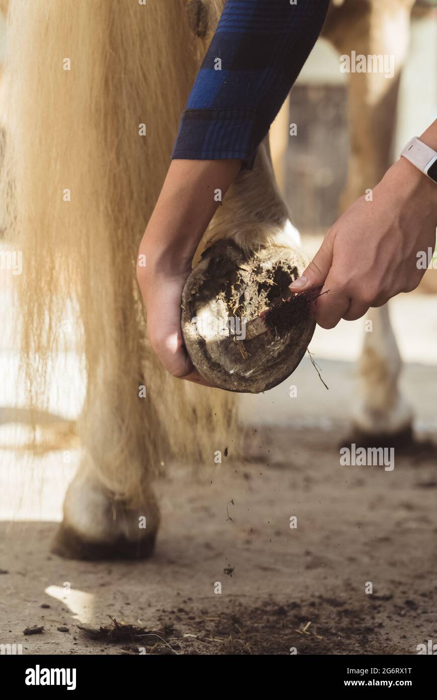 Girl holding the leg of a Palomino horse cleaning horse hoof outside