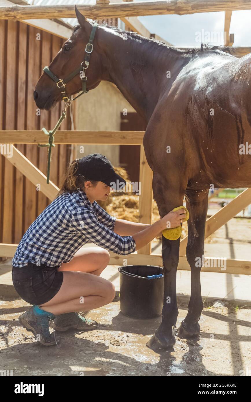 Woman rubbing legs hires stock photography and images Alamy
