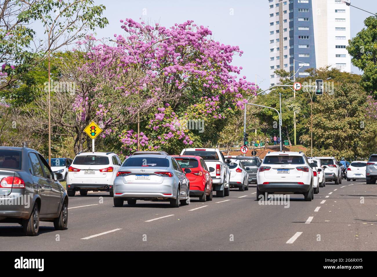 Campo Grande - MS, Brazil - July 4, 2021: Transit of cars at Viar Park, Prof. Luís Alexandre de Oliveira street. Stock Photo