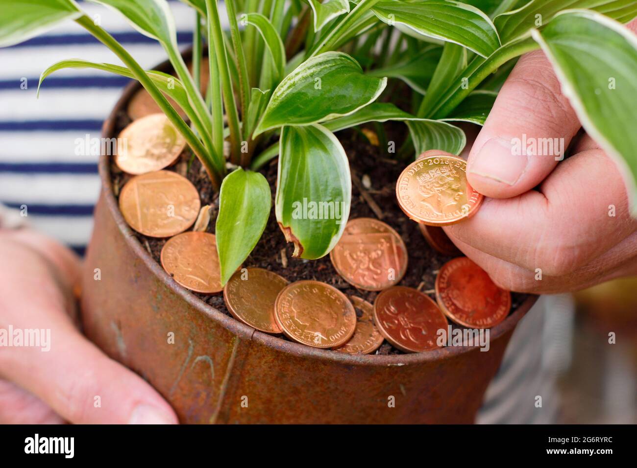 glass vase for plants Test Tube Flower Vase Propagation Station – Kate Aspen main image 1