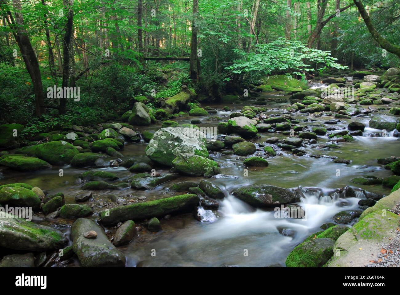 Boulder-strewn mountain stream, Smokey Mountain National Park, Gatlinburg,  Tennessee Stock Photo - Alamy, image size:1300x960