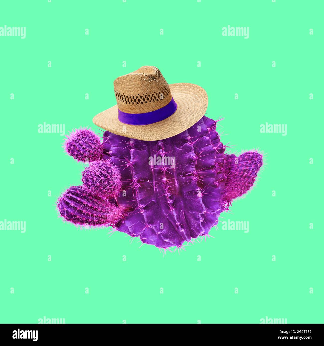 Creative composition, artwork. Round purple cactus wearing straw hat. Copyspace for advertisement Stock Photo