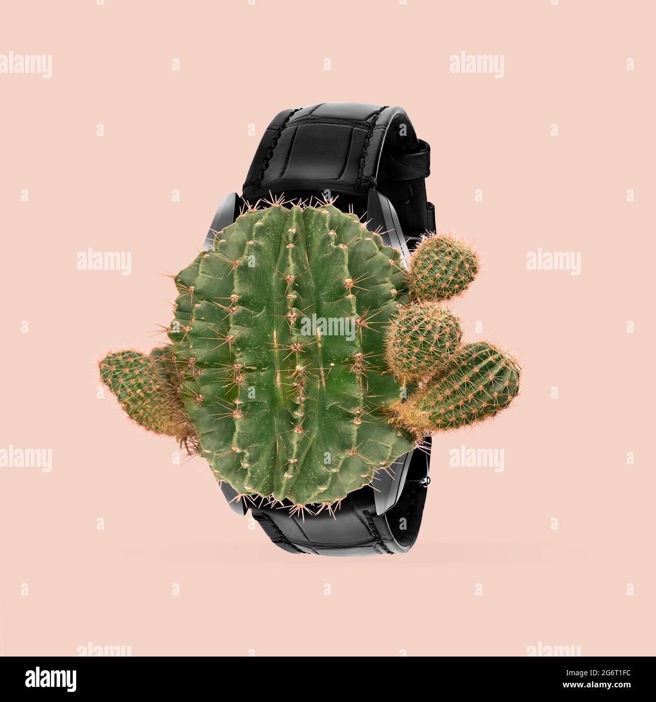 Cactus watch Cactus watch