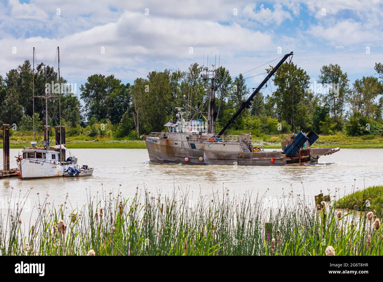 https://c8.alamy.com/comp/2G6T8HR/fishing-vessel-pacific-viking-returning-to-steveston-harbour-on-the-fraser-river-near-vancouver-british-columbia-canada-2G6T8HR.jpg
