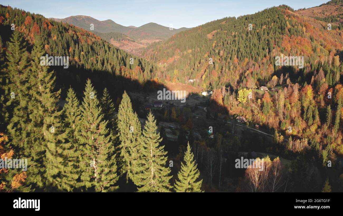 Closeup autumn mountain forest aerial. Nobody nature countryside landscape. Fir pine and spruce trees at colorful leaves. Cottage at village road in mount valley. Carpathians, Ukraine, Europe Stock Photo