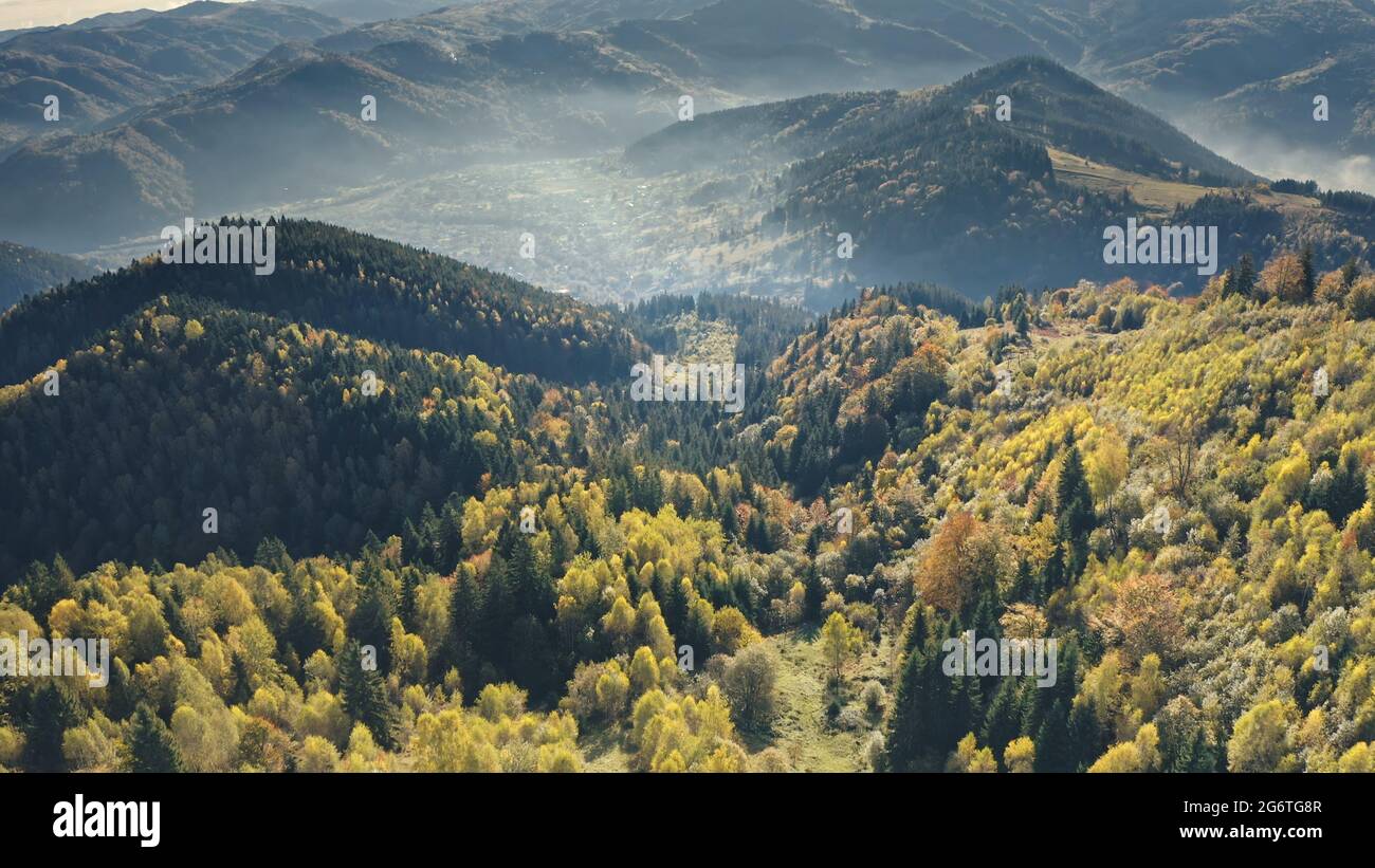 Aerial green pine trees forest at mountain ridges. autumn nobody nature ...