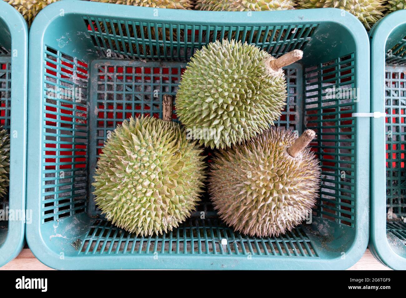 Three delicious Malaysian durian fruit displayed in basket for sale Stock Photo