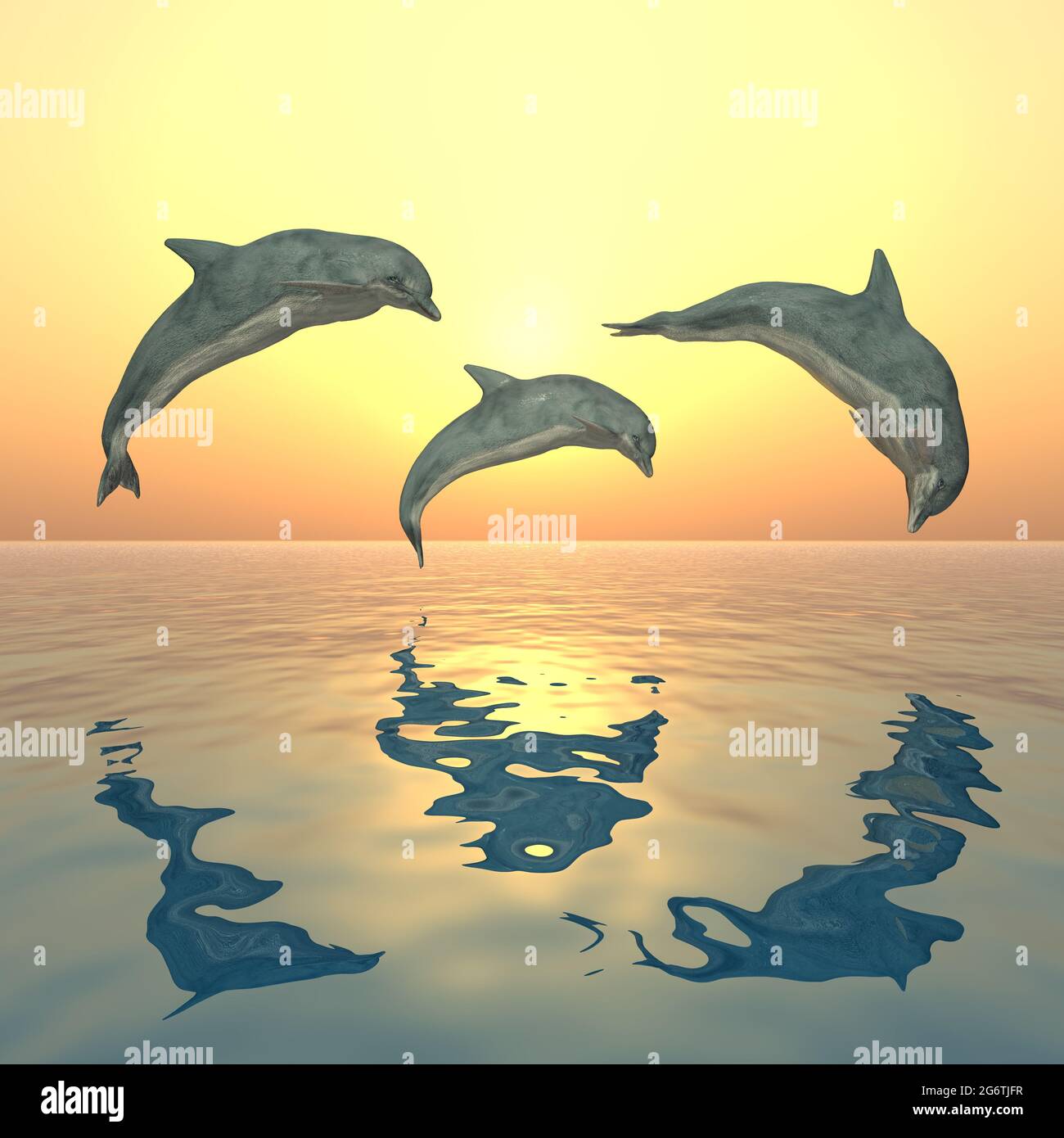 Three jumping dolphins at sunset Stock Photo