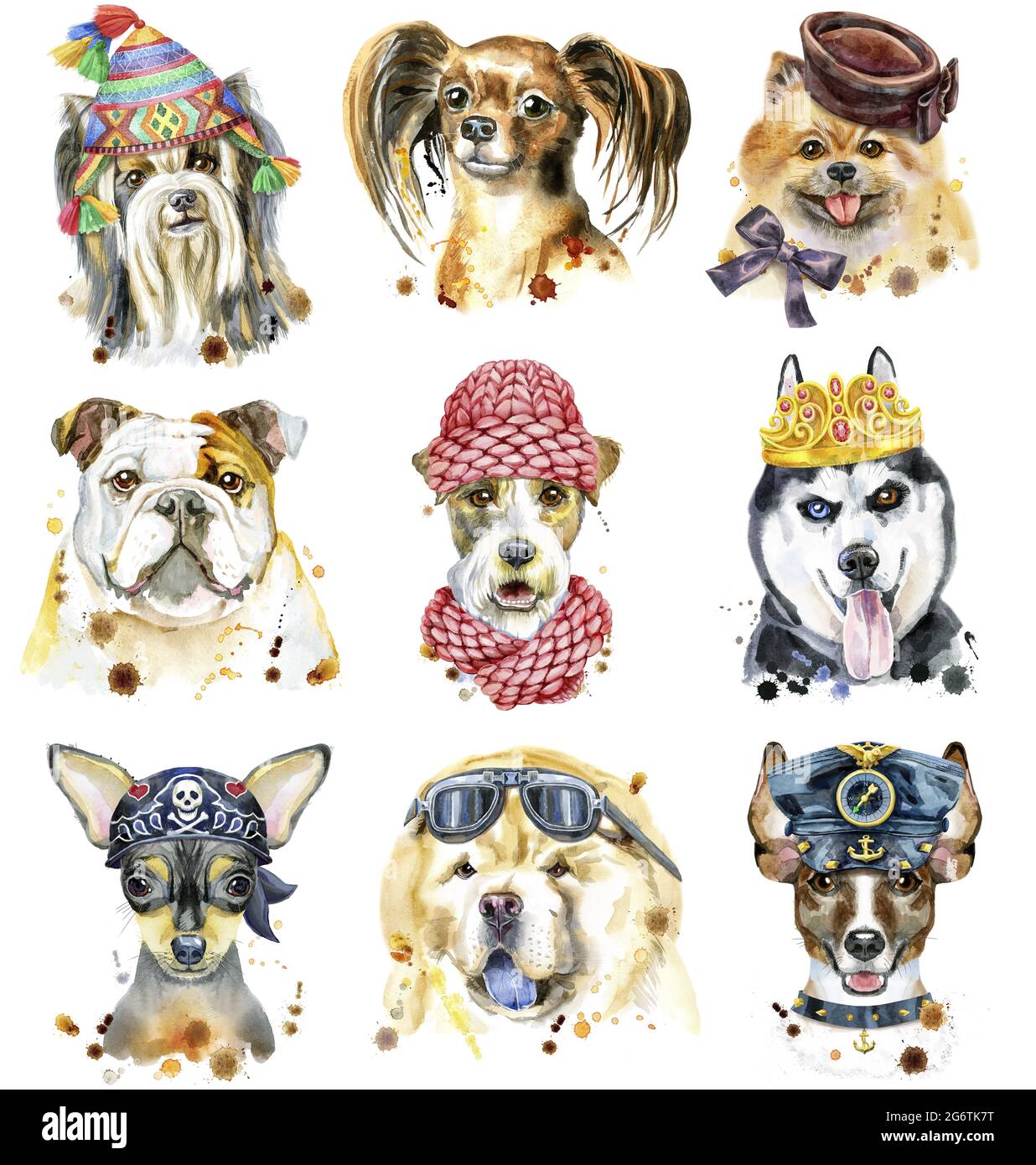 Cute set of watercolor portraits of dogs. For t-shirt graphics. Watercolor dogs illustration Stock Photo