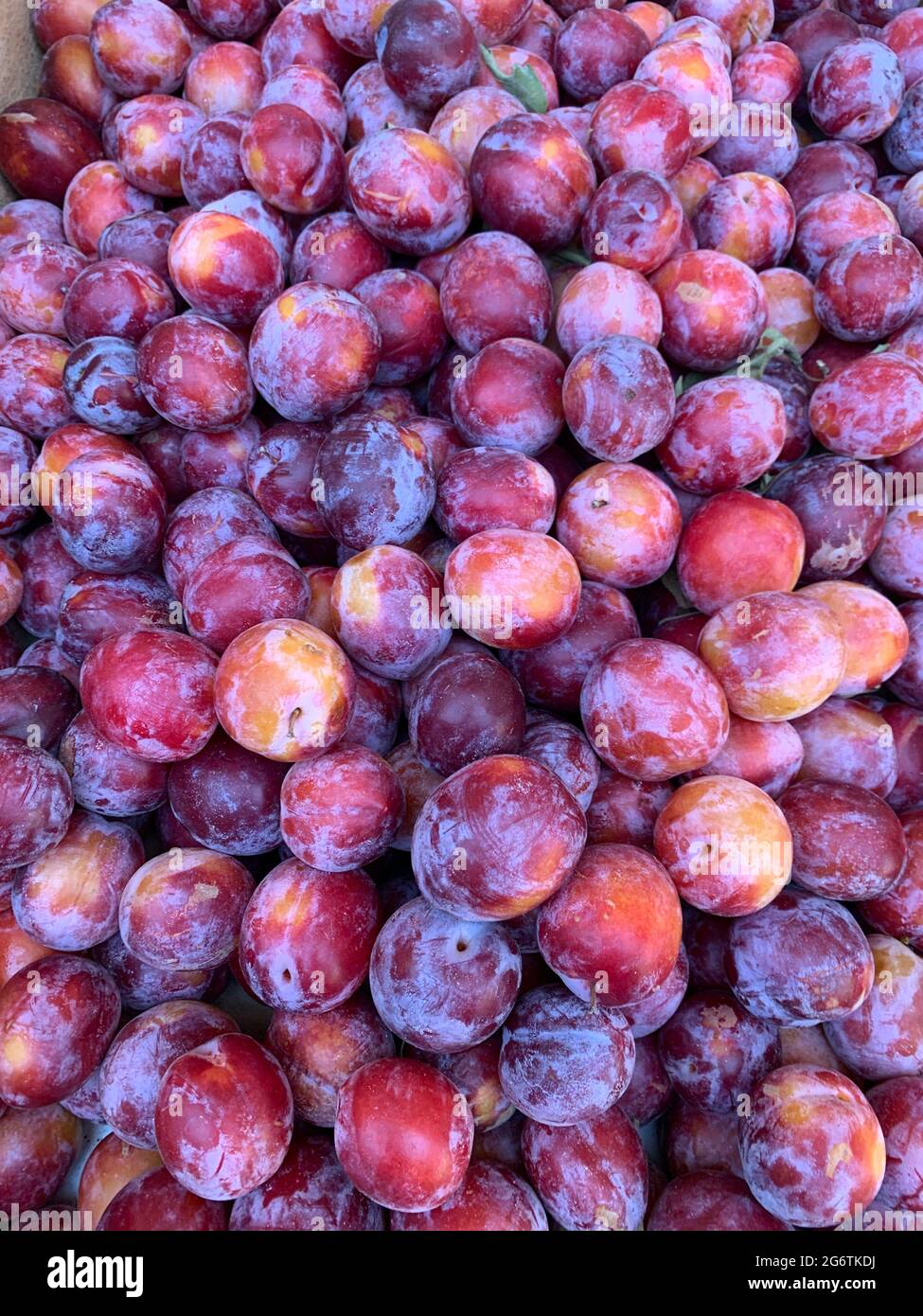 lots of purple ripe delicious pears to eat as a background Stock Photo