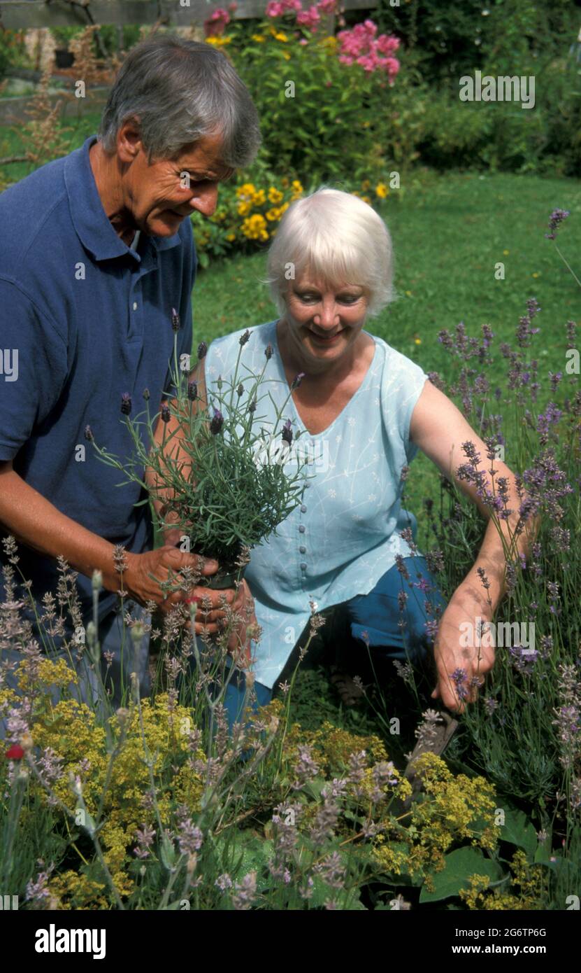 mature couple gardening Stock Photo