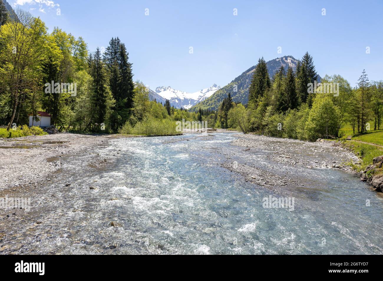Beautiful view of a mountain river flowing through a dense forest Stock ...