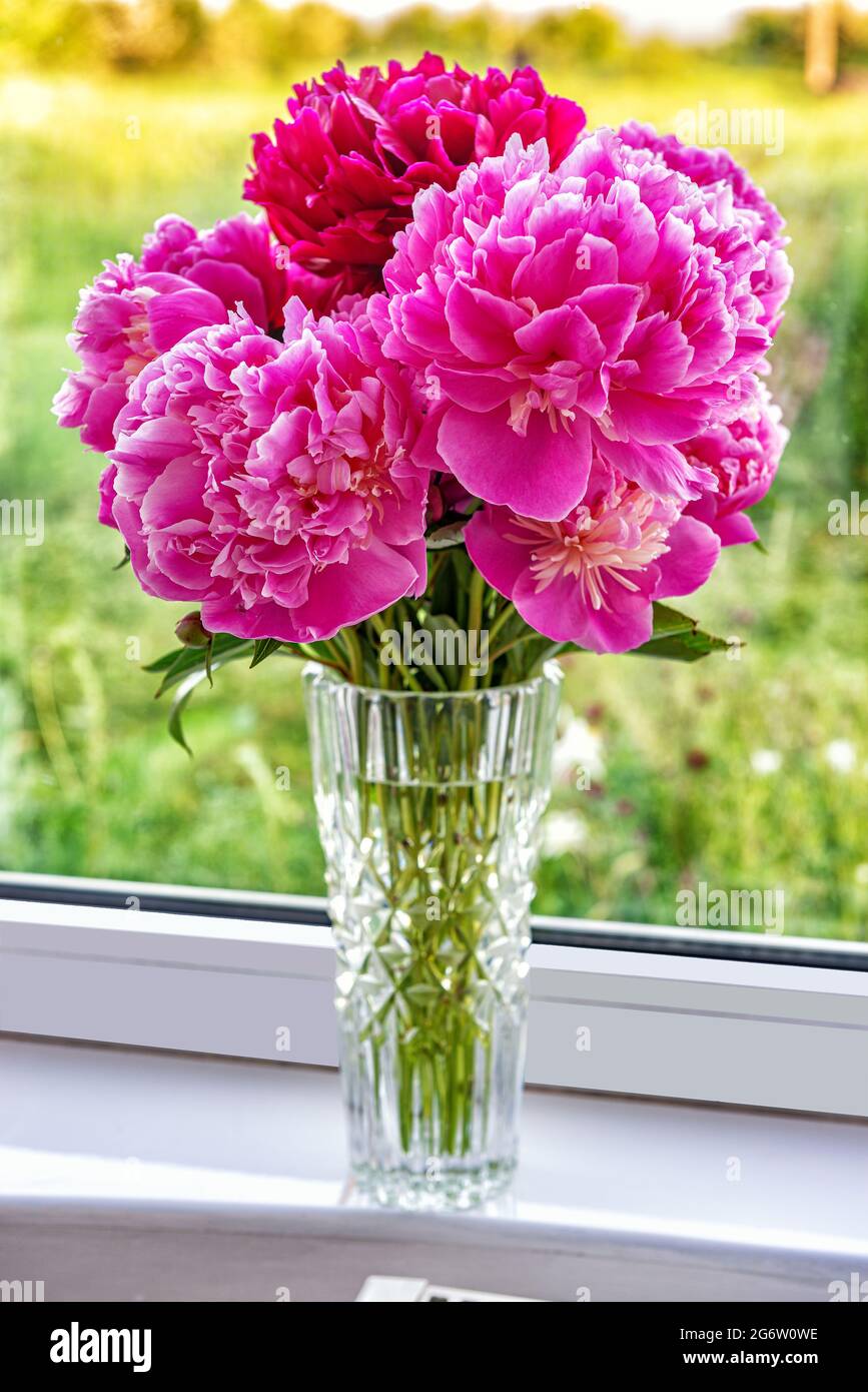 A beautiful bouquet of flowers peonies in a vase are standing on the windowsill Stock Photo