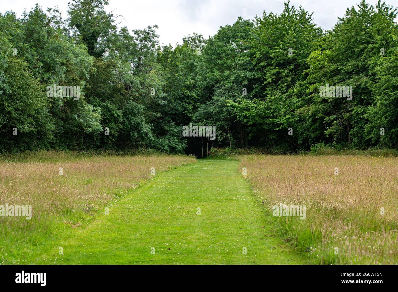 Mowing meadow wildflowers hi-res stock photography and images - Alamy