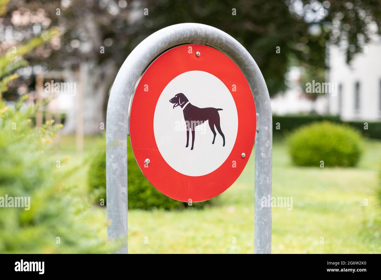 No dog sign in chur, switzerland Stock Photo