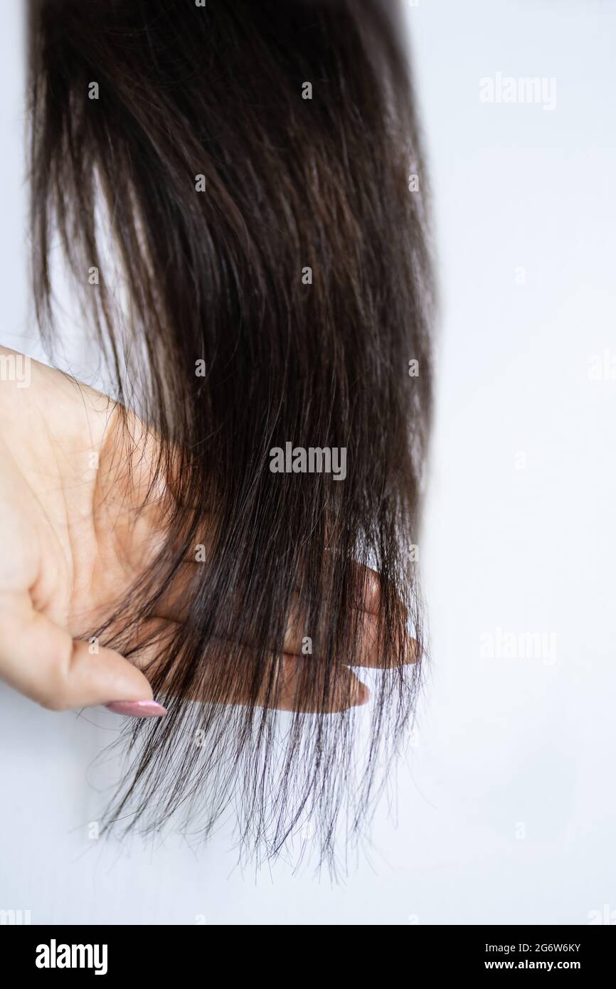 Fake Woman Hair. False Healthy Of Long Hair Stock Photo