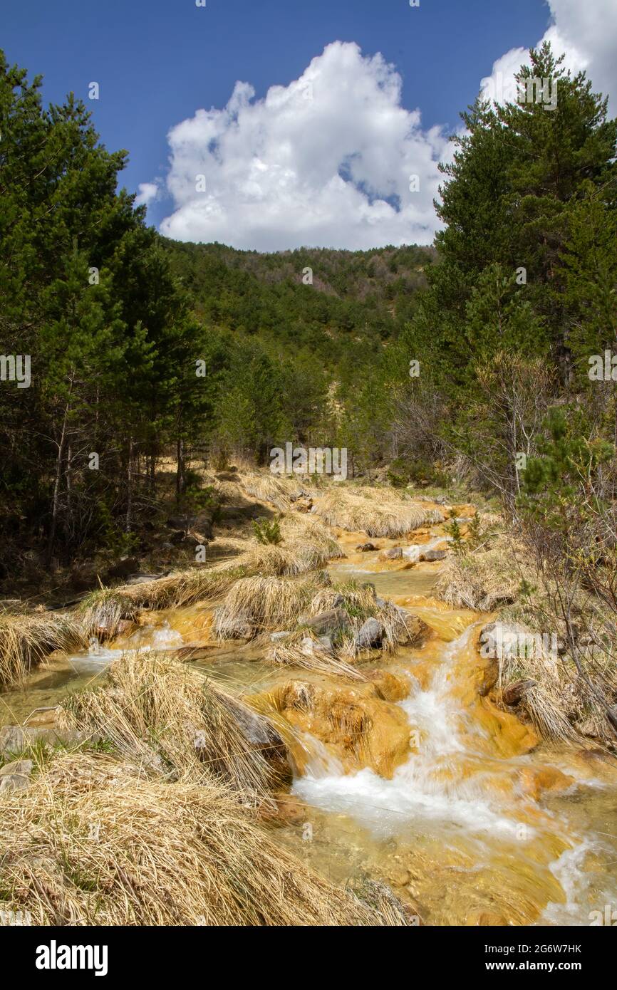 Mountain river of crystalline waters on a bed of yellow stones and dry grasses, Sorradipara canyon, Lubierre river, Borau, Huesca Pyrenees, Spain, ver Stock Photo