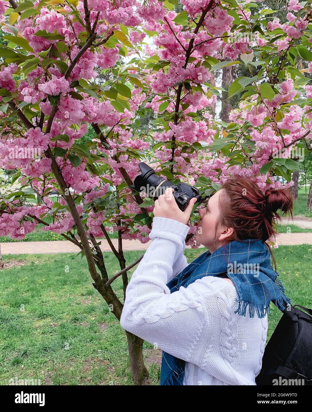 young happy smiling red-haired woman with a white sweater and blue scarf takes a picture with a flowering pink sakura tree in a park in the city of Ki Stock Photo