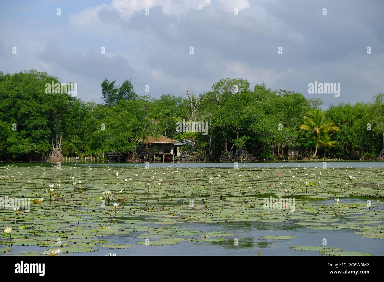 Guatemala Livingston - Rio Dulce - Lago de Izabal Stock Photo