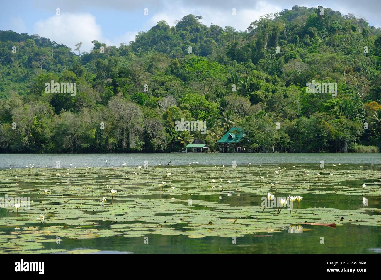 Guatemala Livingston - Rio Dulce beautiful landscape - Lago de Izabal Stock Photo