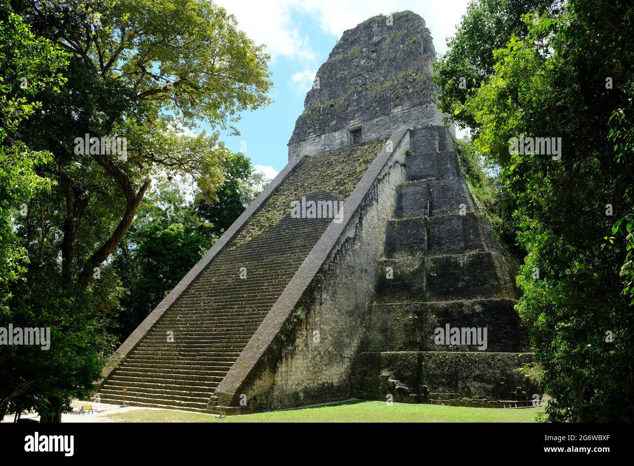 Guatemala Tikal National Park - Temple V Pyramid - Templo V Stock Photo