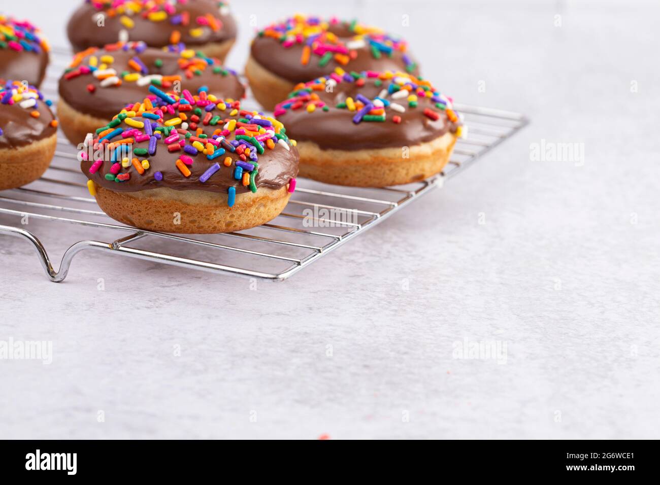 Cake Donut with Chocolate Frosting and Rainbow Colored Sprinkles Stock
