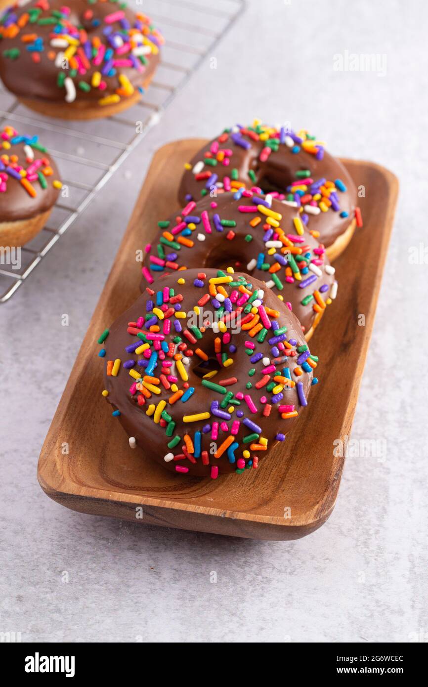 Cake Donut with Chocolate Frosting and Rainbow Colored Sprinkles Stock ...