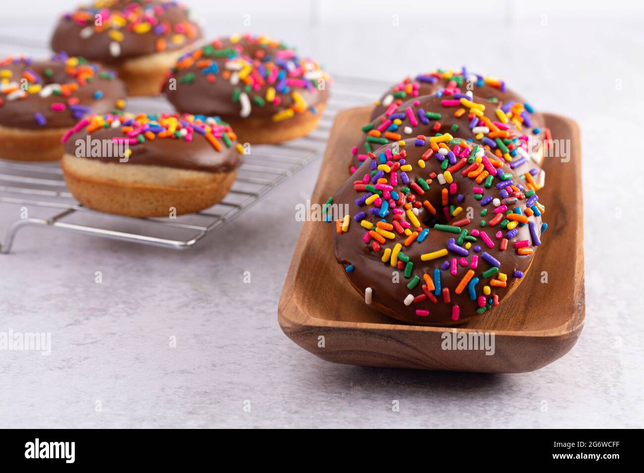 Cake Donut with Chocolate Frosting and Rainbow Colored Sprinkles Stock