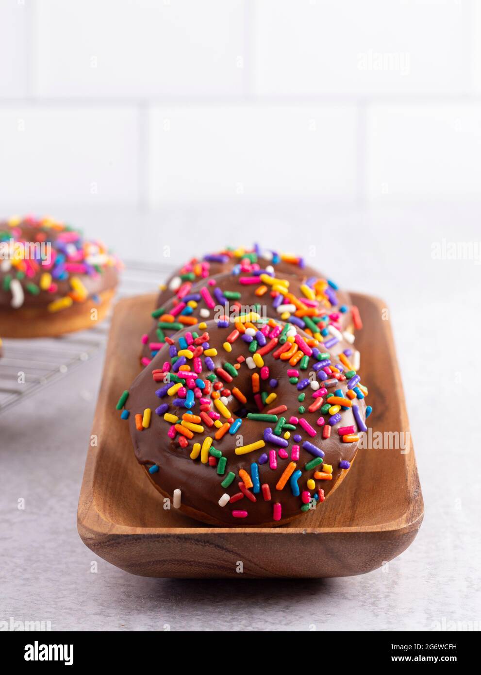 Cake Donut with Chocolate Frosting and Rainbow Colored Sprinkles Stock