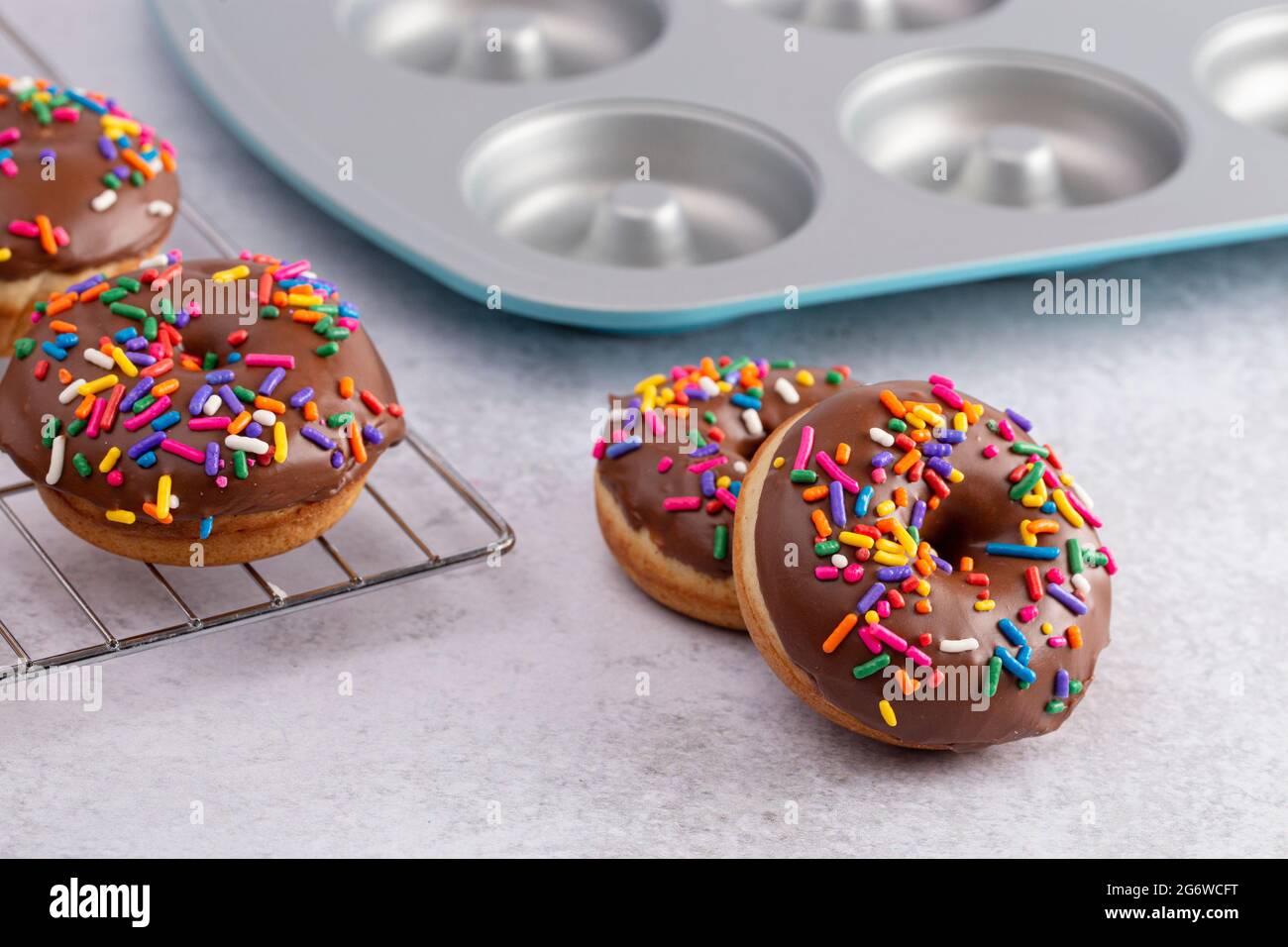 Cake Donut with Chocolate Frosting and Rainbow Colored Sprinkles Stock
