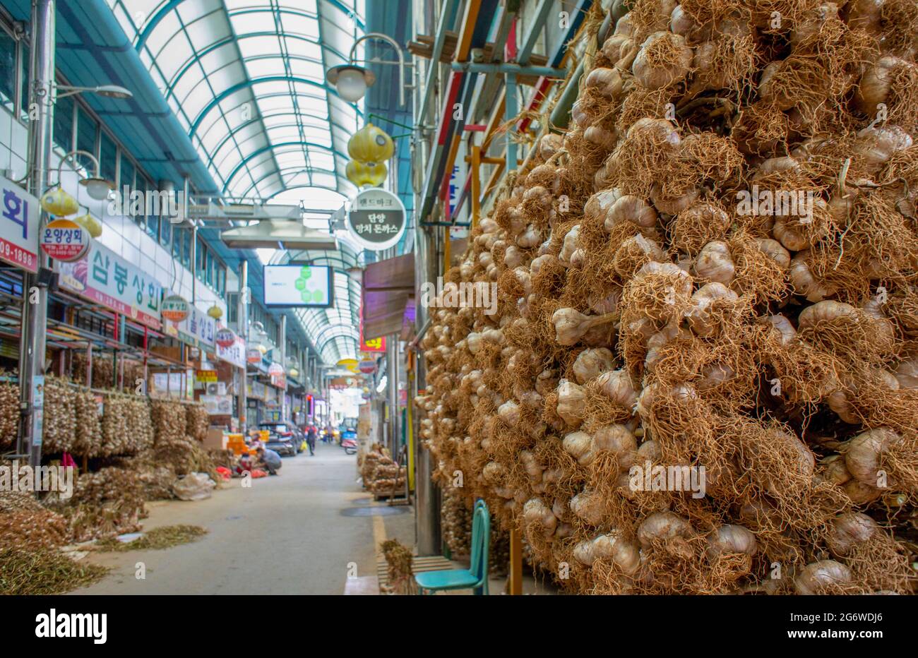 July 8, 2021-Danyang, South Korea-Bulbs of garlic are hung at a shop in a traditional market in Danyang, a town in South Korea's central province of North Chungcheong, South Korea. Opened in 1985, the Danyang garlic market is famous for its garlic. The garlic there is well known for its high quality. Stock Photo