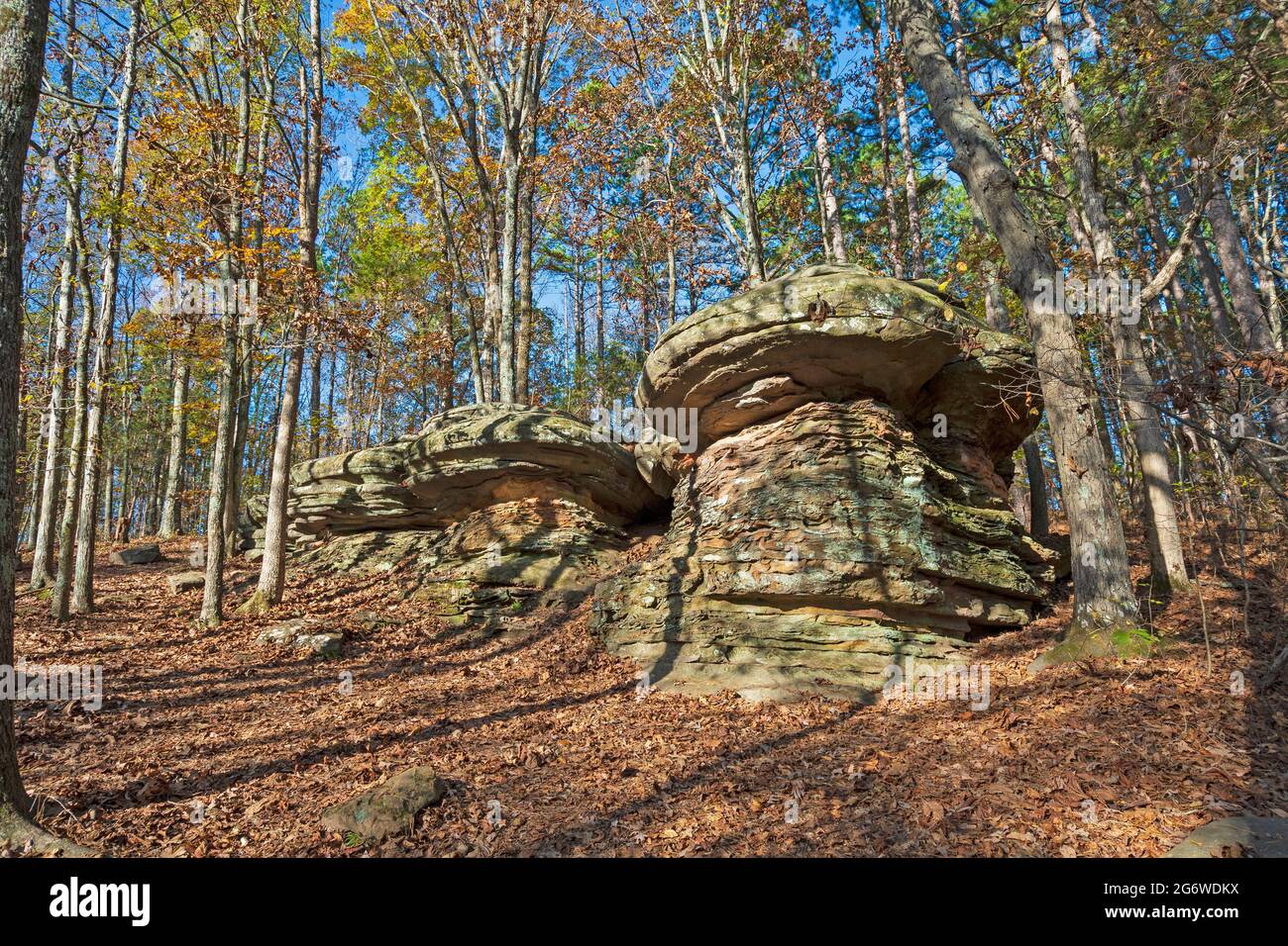 Mushroom Rocks Hiding in the Forest in the Garden of the Gods Near ...